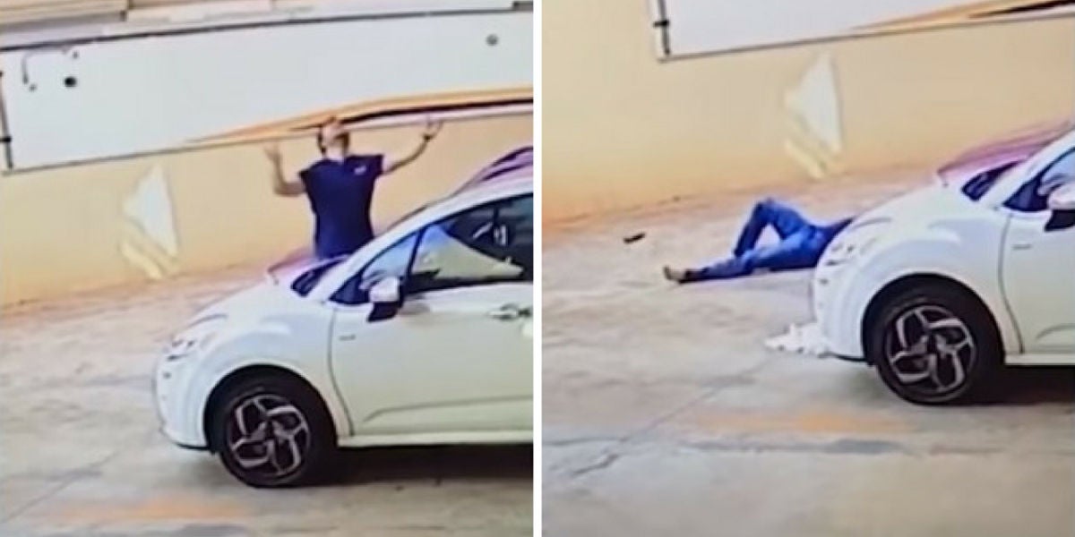 Salva la vida de un perro al amortiguar con su cuerpo el impacto de la caída