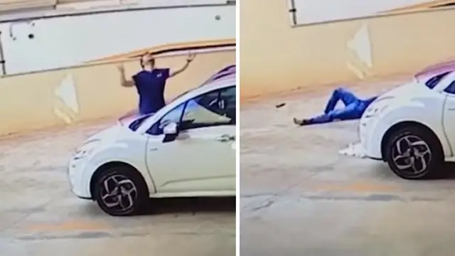 Salva la vida de un perro al amortiguar con su cuerpo el impacto de la caída