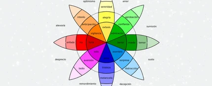 Rueda de las emociones Rueda de las emociones