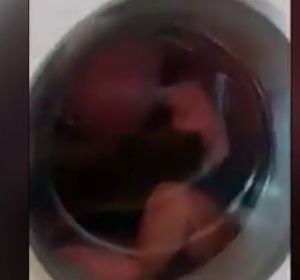 Meten a un niño de dos años en una lavadora Meten a un niño de dos años en una lavadora