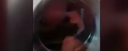 Meten a un niño de dos años en una lavadora Meten a un niño de dos años en una lavadora