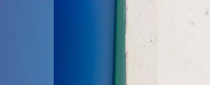 Puerta azul o playa, la ilusión óptica de Twitter Puerta azul o playa, la ilusión óptica de Twitter