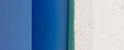 Puerta azul o playa, la ilusión óptica de Twitter Puerta azul o playa, la ilusión óptica de Twitter
