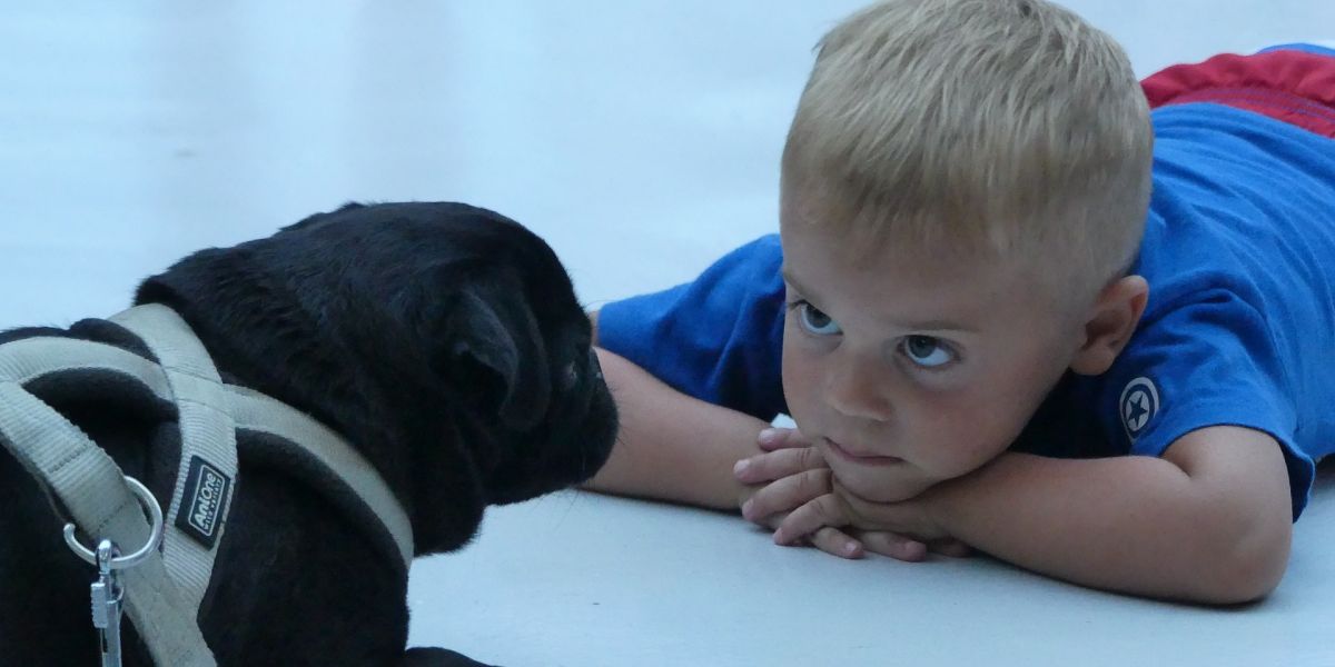 La terapia con perros muestra resultados prometedores en niños con dificultades del habla