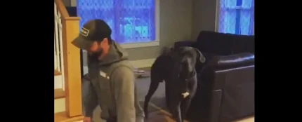 Este perro intenta imitar a su dueño y el resultado te hará reír Este perro intenta imitar a su dueño y el resultado te hará reír