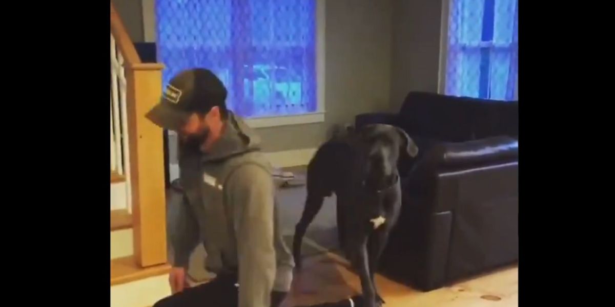 Este perro intenta imitar a su dueño y el resultado te hará reír