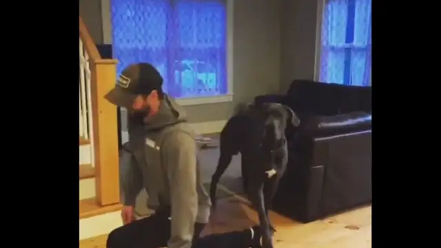 Este perro intenta imitar a su dueño y el resultado te hará reír