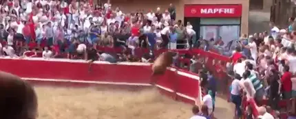 Un novillo salta las vallas en la plaza de Villafranca y se da a la fuga por el pueblo Un novillo salta las vallas en la plaza de Villafranca y se da a la fuga por el pueblo