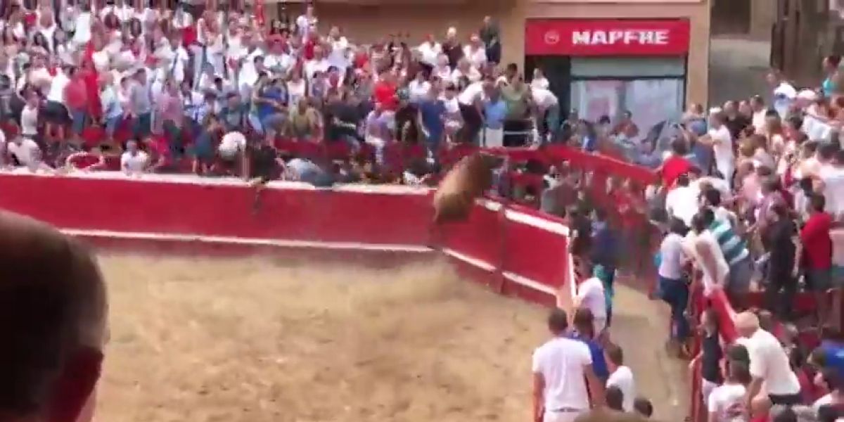 Un novillo salta las vallas en la plaza de Villafranca y se da a la fuga por el pueblo