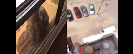 La empleada cayendo desde un séptimo piso La empleada cayendo desde un séptimo piso