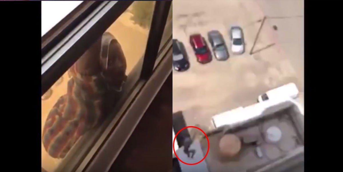 La empleada cayendo desde un séptimo piso