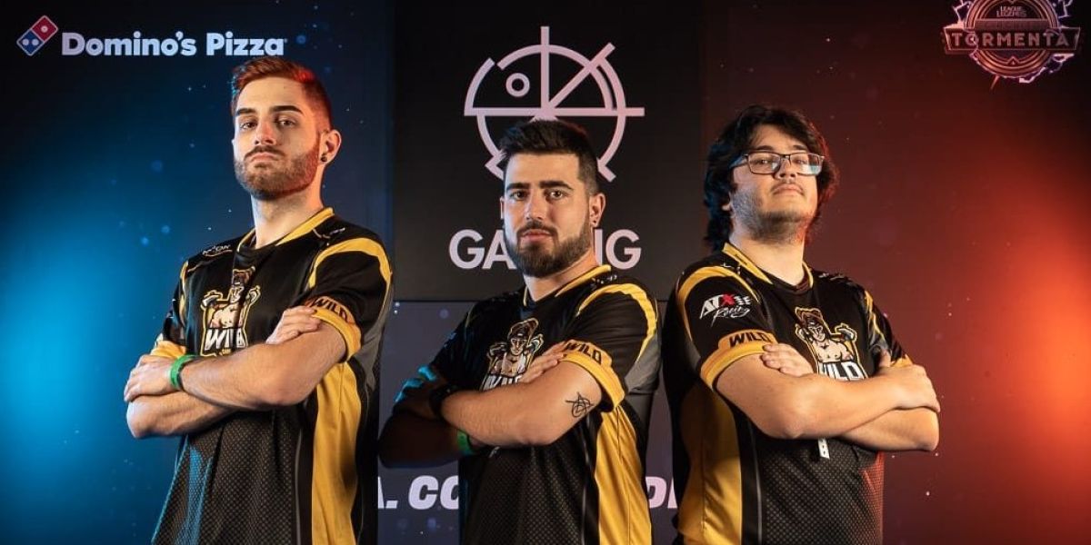 Wild Gaming
