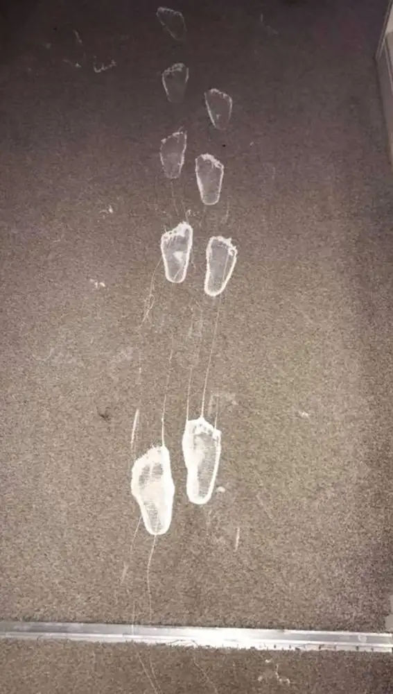 Un niño de tres años cubre su salón recién reformado de pintura blanca Un niño de tres años cubre su salón recién reformado de pintura blanca