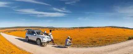 Desierto del Kalahari Desierto del Kalahari