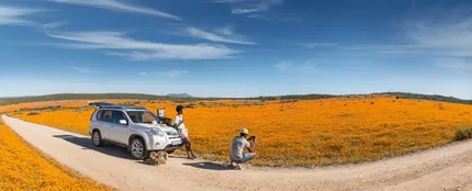 Desierto del Kalahari Desierto del Kalahari