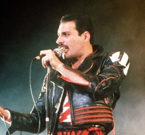 Freddie Mercury Freddie Mercury
