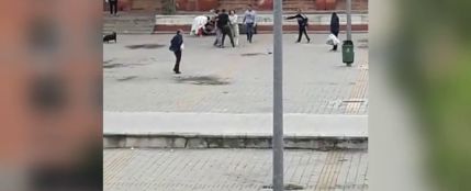 Un muerto y cinco heridos en una brutal pelea entre dos familias en un barrio de Córdoba