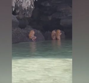 Unos turistas alucinan con unas extrañas criaturas haciendo un ritual en una playa de Tailandia Unos turistas alucinan con unas extrañas criaturas haciendo un ritual en una playa de Tailandia
