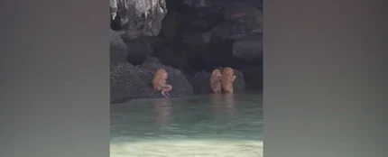 Unos turistas alucinan con unas extrañas criaturas haciendo un ritual en una playa de Tailandia Unos turistas alucinan con unas extrañas criaturas haciendo un ritual en una playa de Tailandia