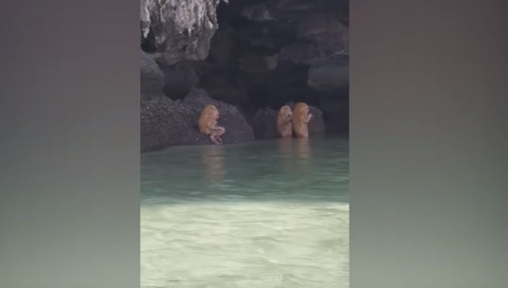 Unos turistas alucinan con unas extrañas criaturas haciendo un ritual en una playa de Tailandia