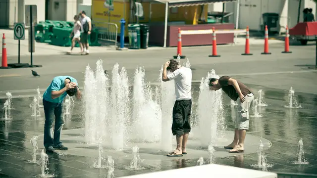 Ola de calor