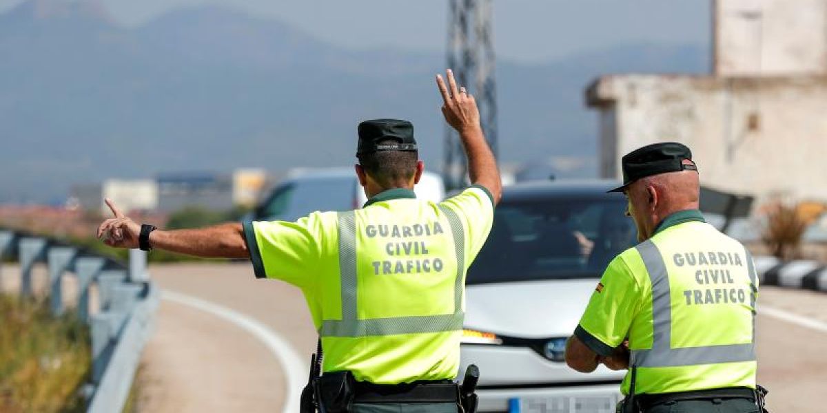 Efectivos de la Guardia Civil realizan un control