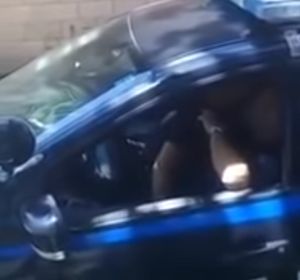 Una pareja de policías tiene sexo en el coche patrulla Una pareja de policías tiene sexo en el coche patrulla