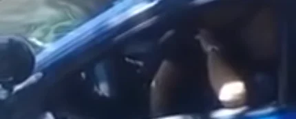 Una pareja de policías tiene sexo en el coche patrulla Una pareja de policías tiene sexo en el coche patrulla