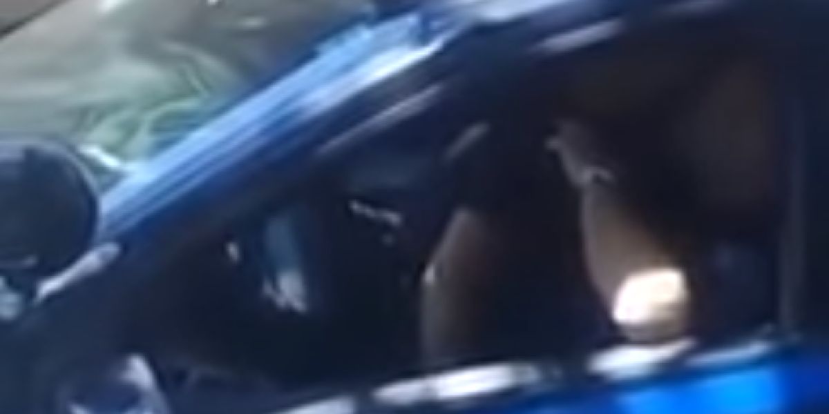 Una pareja de policías tiene sexo en el coche patrulla