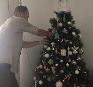Encuentran una serpiente en el árbol de Navidad Encuentran una serpiente en el árbol de Navidad
