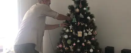 Encuentran una serpiente en el árbol de Navidad Encuentran una serpiente en el árbol de Navidad