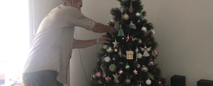 Encuentran una serpiente en el árbol de Navidad Encuentran una serpiente en el árbol de Navidad