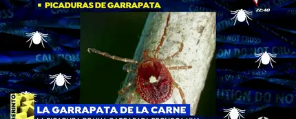 Garrapata Garrapata