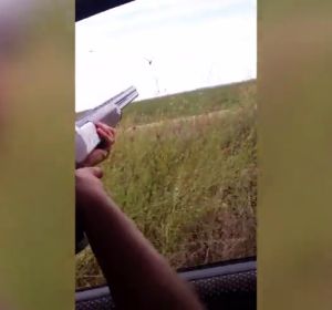 Investigado por alentar a su hijo menor a disparar a aves protegidas Investigado por alentar a su hijo menor a disparar a aves protegidas