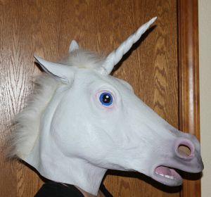 Disfraz de un unicornio. Disfraz de un unicornio.