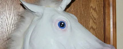 Disfraz de un unicornio. Disfraz de un unicornio.