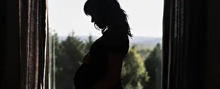 Hay relacion entre la exposicion a quimicos en el embarazo y la presion arterial Hay relacion entre la exposicion a quimicos en el embarazo y la presion arterial