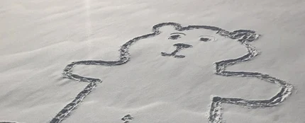El misterioso oso El misterioso oso