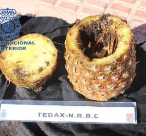 Piña que utilizó el detenido para hacer el conjuro Piña que utilizó el detenido para hacer el conjuro