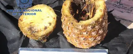 Piña que utilizó el detenido para hacer el conjuro Piña que utilizó el detenido para hacer el conjuro