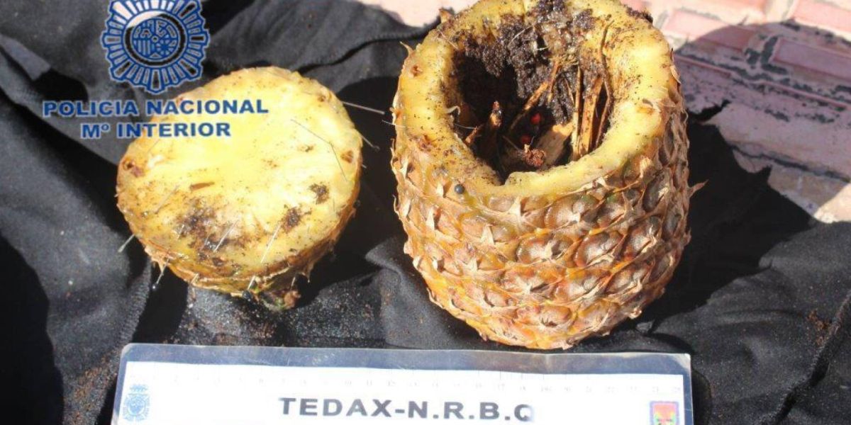 Piña que utilizó el detenido para hacer el conjuro
