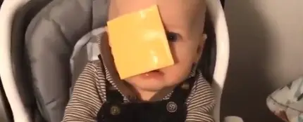 Un bebé con una loncha de queso en la cara. Un bebé con una loncha de queso en la cara.