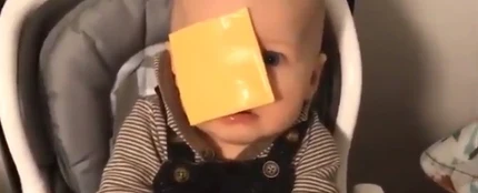 Un bebé con una loncha de queso en la cara. Un bebé con una loncha de queso en la cara.
