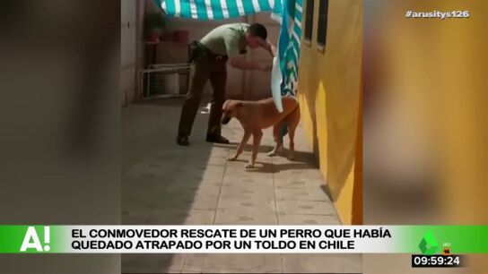 Rescate de un perro en Chile