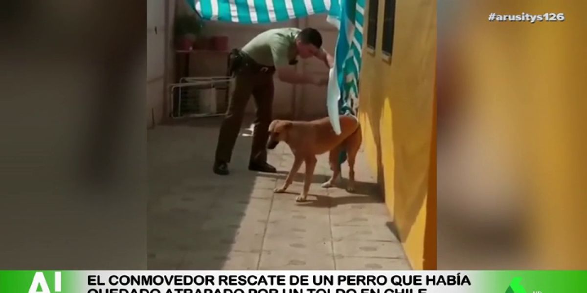 Rescate de un perro en Chile