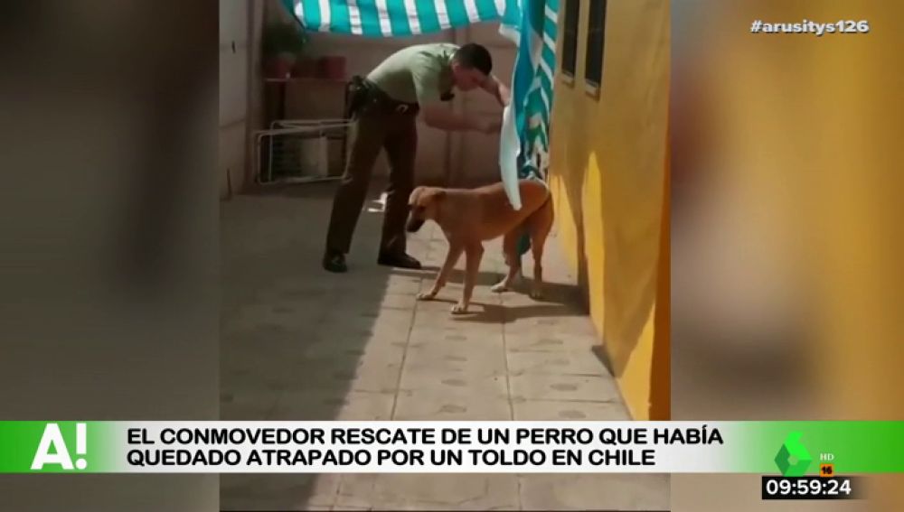 Rescate de un perro en Chile