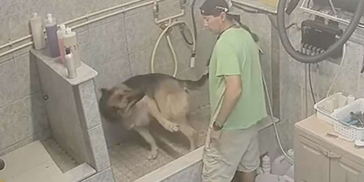 El acusado golpeando al perro