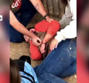 Un jaguar ataca a una turista en un zoo Un jaguar ataca a una turista en un zoo