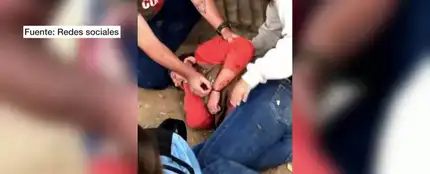 Un jaguar ataca a una turista en un zoo Un jaguar ataca a una turista en un zoo