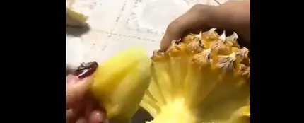 Imagen de la piña Imagen de la piña